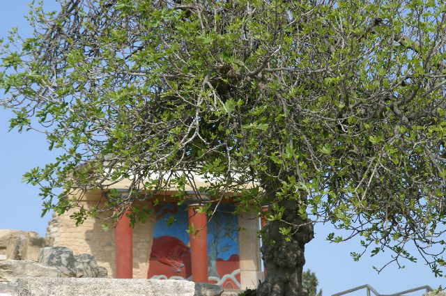 Kreta2007-0058 