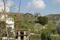 Kreta2007-0080 Jongeren sleuren op de top van de heuvel droge struiken aan voor de paasvuren