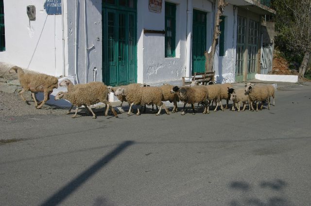 Kreta2007-0224 