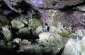 Kreta2007-0213