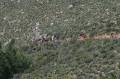 Kreta2007-0262 