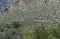 Kreta2007-0263 