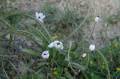 Kreta2007-0286 
