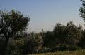 Kreta2007-0289