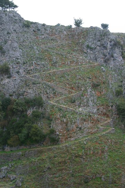 Kreta2007-0350 Het muilezelpad