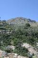 Kreta2007-0405