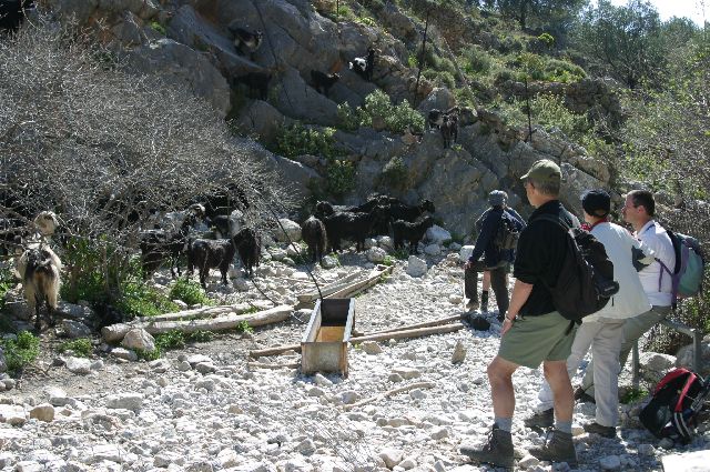 Kreta2007-0422 