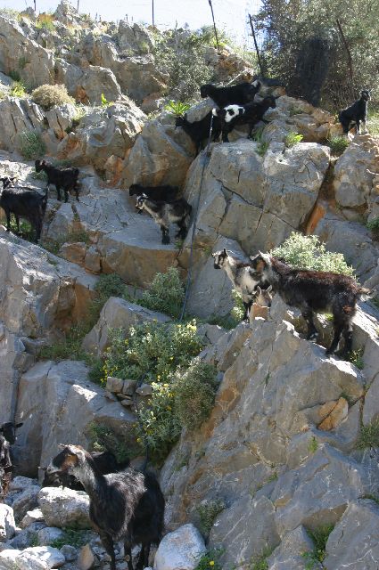 Kreta2007-0424 