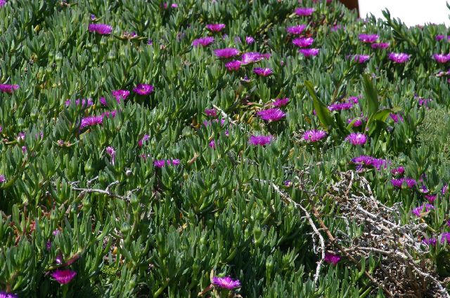 Kreta2007-0426 