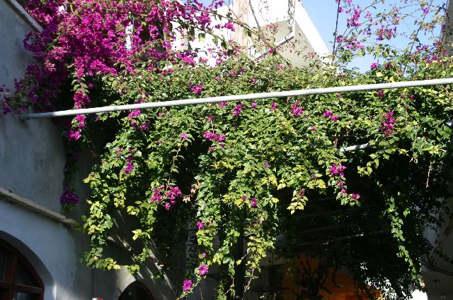 Kreta2007-0466 