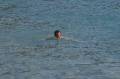 Kreta2007-0452 