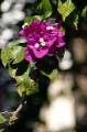 Kreta2007-0465 