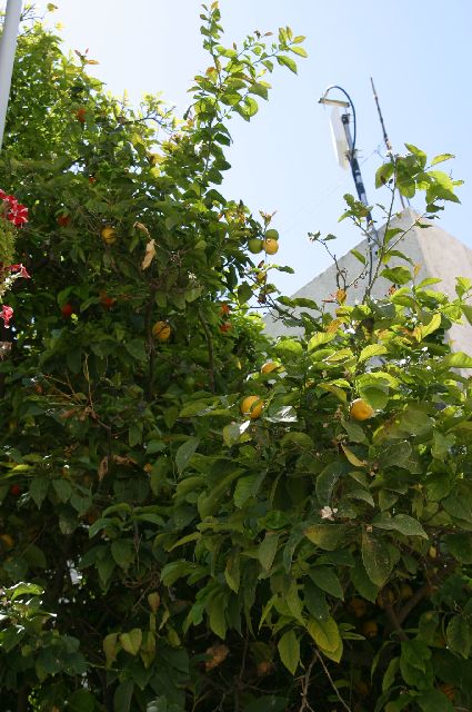 Kreta2007-0524 