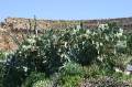 Kreta2007-0509 