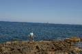 Kreta2007-0510 
