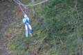 MissinneButgenbach2007-0168 