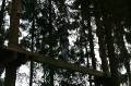MissinneButgenbach2007-0199 