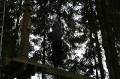 MissinneButgenbach2007-0204 