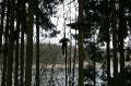 MissinneButgenbach2007-0241 
