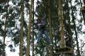 MissinneButgenbach2007-0244 