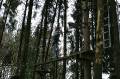 MissinneButgenbach2007-0306