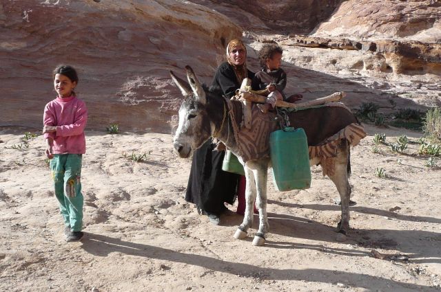 Jordanie2008-0448 