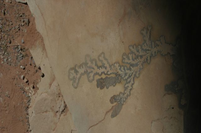 Jordanie2008-0653 
