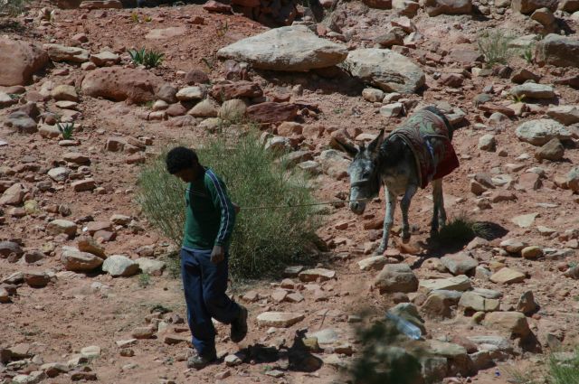 Jordanie2008-0662 
