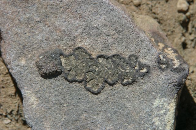Jordanie2008-0780 