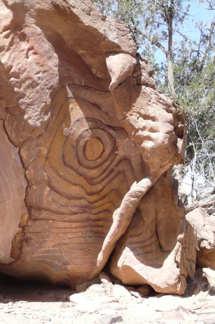 Jordanie2008-0784 