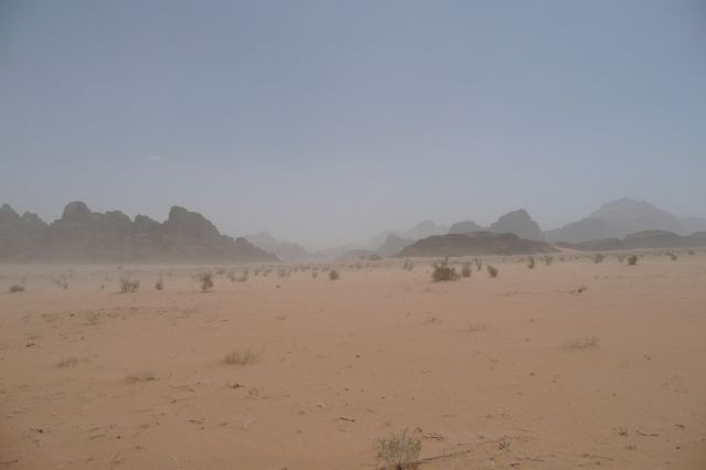 Jordanie2008-1044 