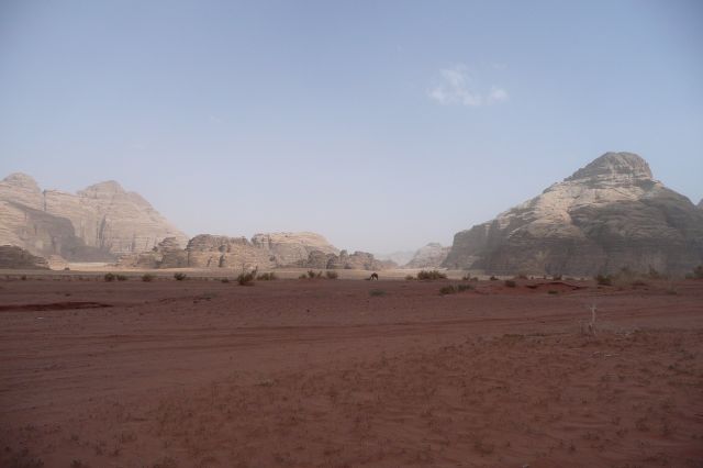 Jordanie2008-1069 