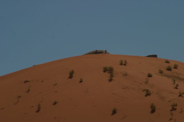 Jordanie2008-1242 