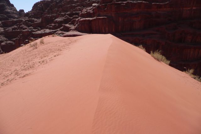 Jordanie2008-1246 