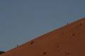 Jordanie2008-1236 