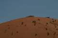 Jordanie2008-1242 