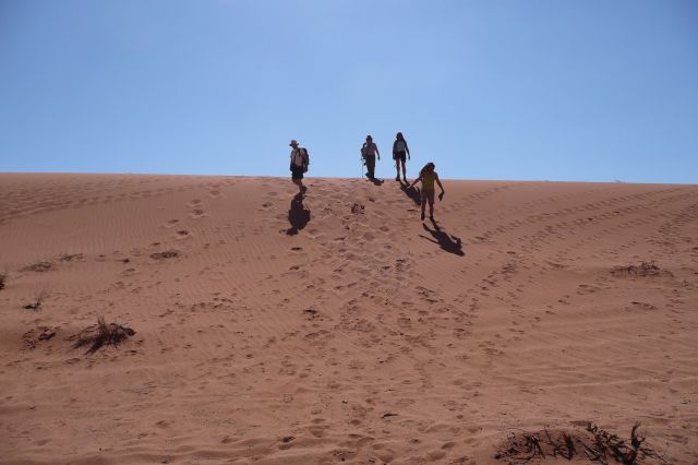 Jordanie2008-1391 