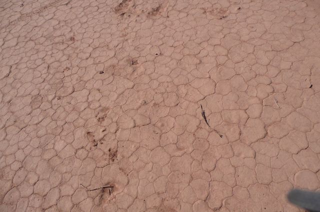Jordanie2008-1392 