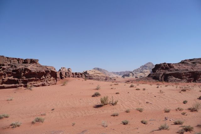 Jordanie2008-1394 