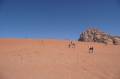 Jordanie2008-1415 