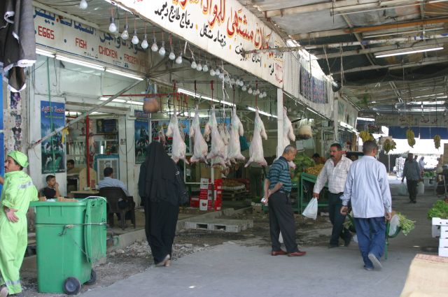 Jordanie2008-1663 