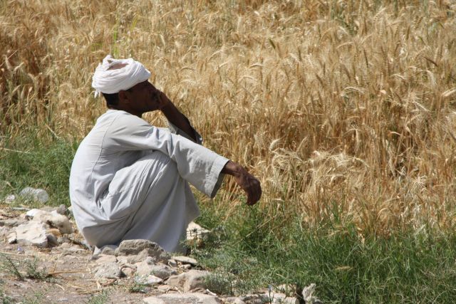 Egypte2010-047 