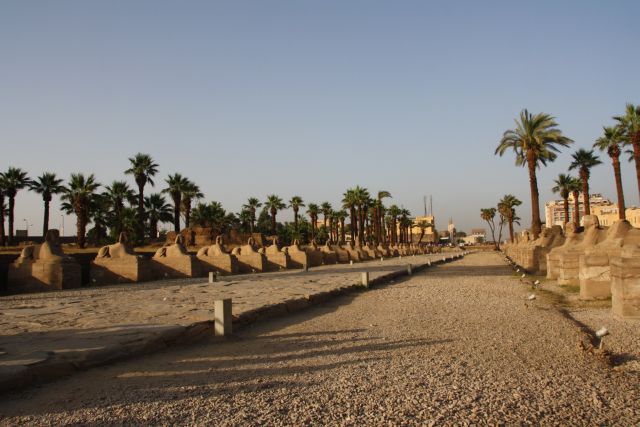 Egypte2010-097 