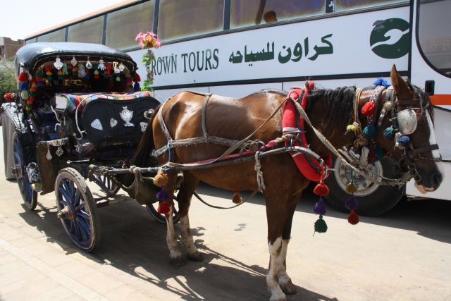 Egypte2010-182 
