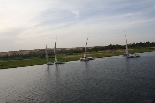 Egypte2010-198 