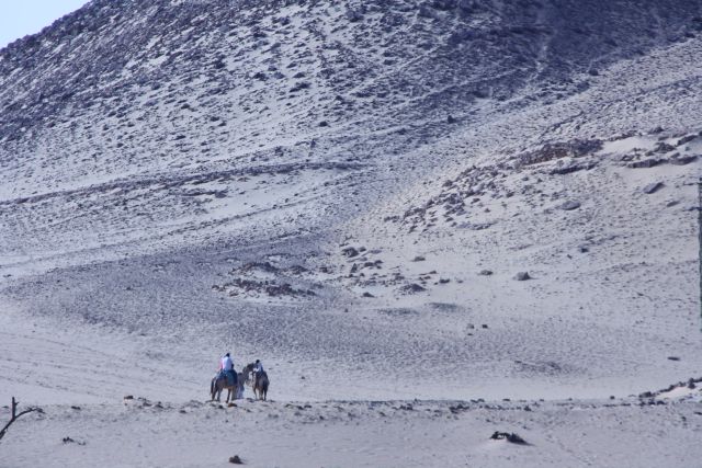 Egypte2010-435 