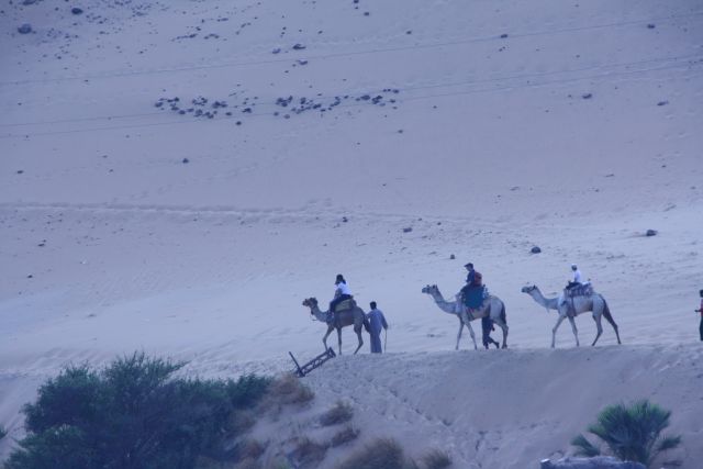Egypte2010-439 