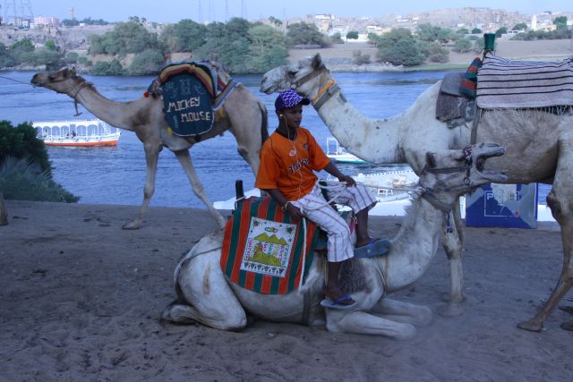 Egypte2010-470 