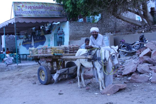 Egypte2010-488 
