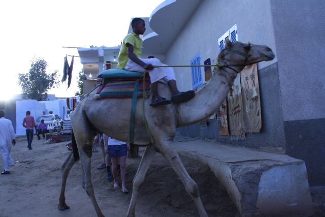 Egypte2010-495 